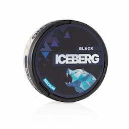 Iceberg